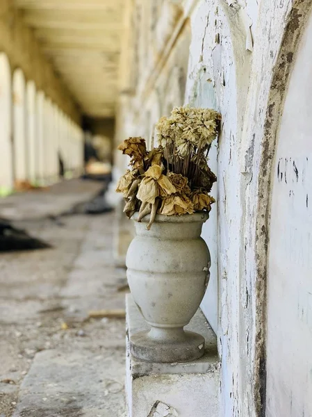 Gebroken Klei Vaas Stervende Bloemen Verlaten Gebouw — Stockfoto