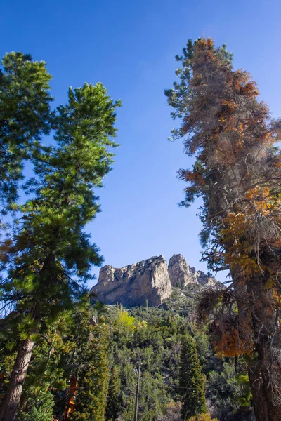 Uitzicht Mount Charleston Nevada — Stockfoto