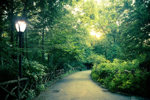 Smukt Landskab Fra Central Park New York City - Stock-foto