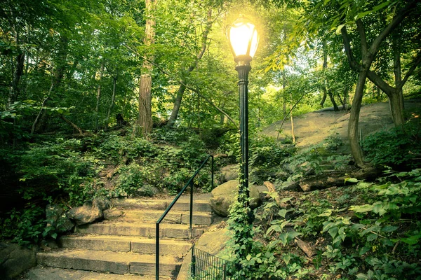 Beautiful Landscape Central Park New York City — Stock Photo, Image