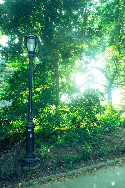 自然场景与树木在夏季从中央公园 — 图库照片