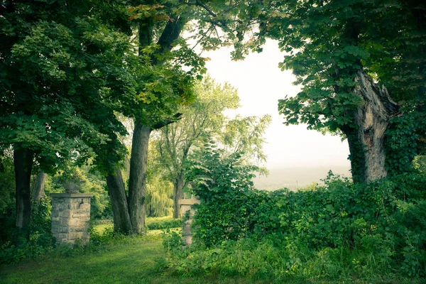 美丽的绿色景观与树木和石门 — 图库照片