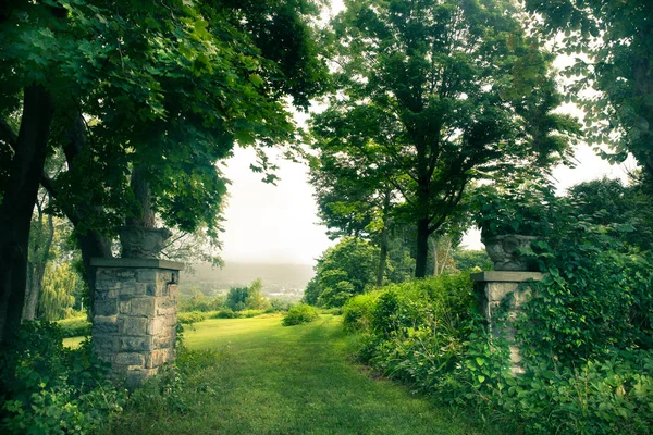 木々と石の門と美しい緑の風景 — ストック写真