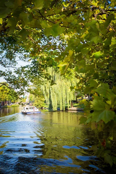 在阿姆斯特丹的树木上看到运河上的船 — 图库照片