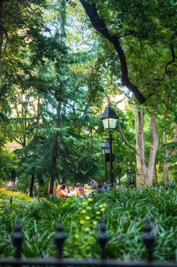 New York City - 24 Ağustos 2019 Greenwich Village Manhattan 'daki Washington Square Park' tan bir yaz öğleden sonra ağaçların arasından bir grup insanın görüntüsü.