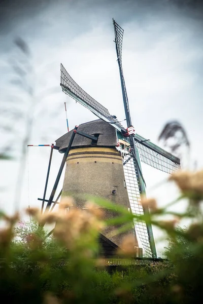 Moulin Vent Néerlandais Paysage Environnant Kinderdijk Aux Pays Bas — Photo