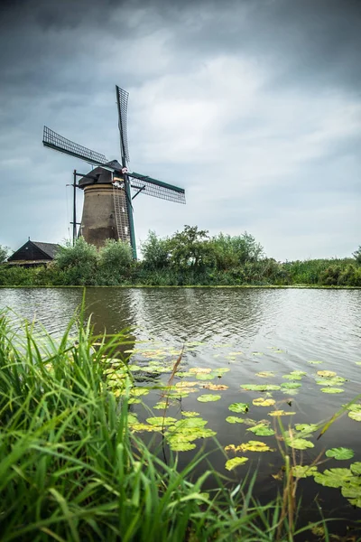 Голландская Ветряная Мельница Окружающий Ландшафт Киндердейке Нидерландах — стоковое фото
