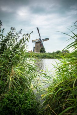 Hollanda'da Kinderdijk'te Hollanda yel değirmeni ve çevresindeki manzara 