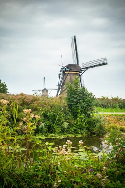 Molino Viento Holandés Paisaje Visto Desde Kinderdijk Países Bajos —  Fotos de Stock