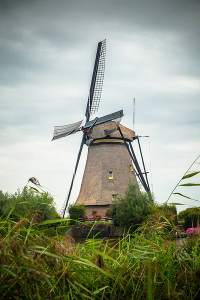 Голландская Мельница Пейзаж Киндердейка Нидерланды — стоковое фото