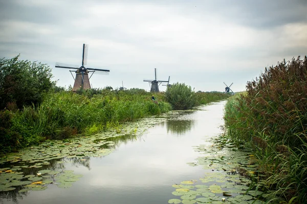 Moulin Vent Néerlandais Paysage Partir Kinderdijk Pays Bas — Photo