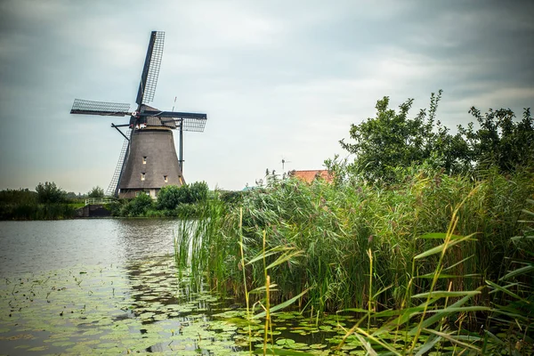 Moulin Vent Néerlandais Paysage Partir Kinderdijk Pays Bas — Photo