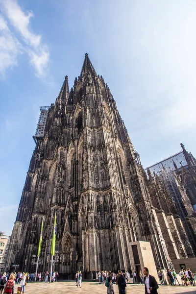 Кельн Німеччина Вересня 2018 Зовнішній Вигляд Історичного Собору Святого Петра — стокове фото