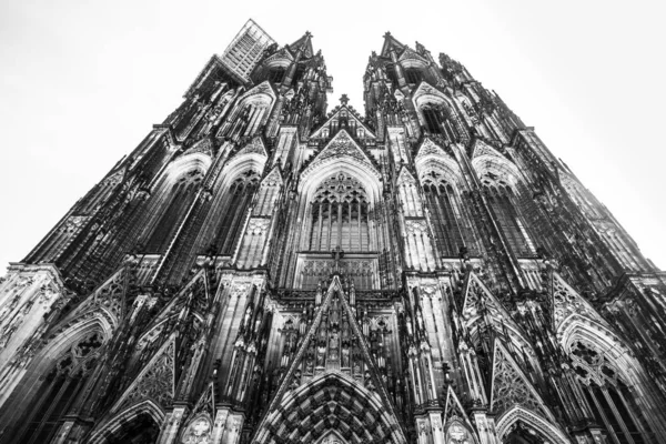 Catedral Histórica Colônia Alemanha Preto Branco — Fotografia de Stock