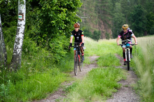 Recreation bicycle race in sunny day — Stock Photo, Image