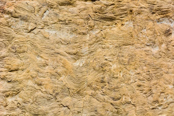 風光明媚な風化した石の表面 — ストック写真