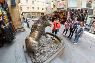 Fontana Del Porcellino