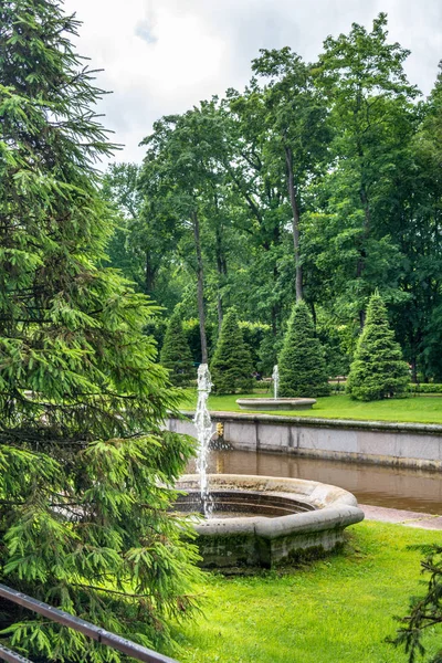 Area lower park at Peterhof, Russia — Stock Photo, Image