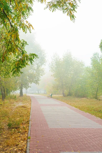 Park alley in the fog — Stock Photo, Image