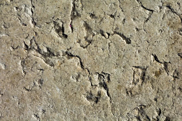 Polished sandstone, grunge stone texture — Stock Photo, Image