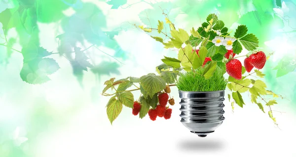 Clean Fruits Witch Green Energy Concept — Stock Photo, Image