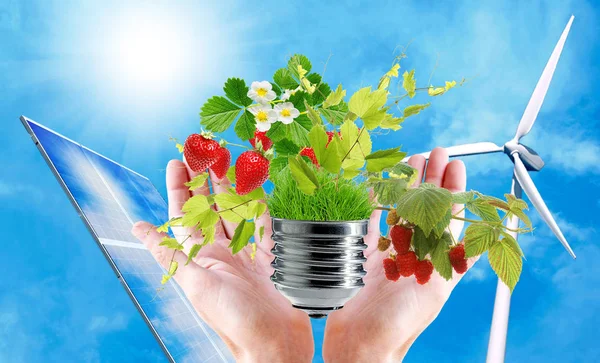 Clean Gardening Fruits Witch Green Energy — Stock Photo, Image