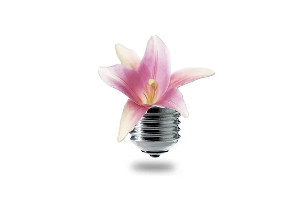 Zelené Čisté Energie Květin — Stock fotografie