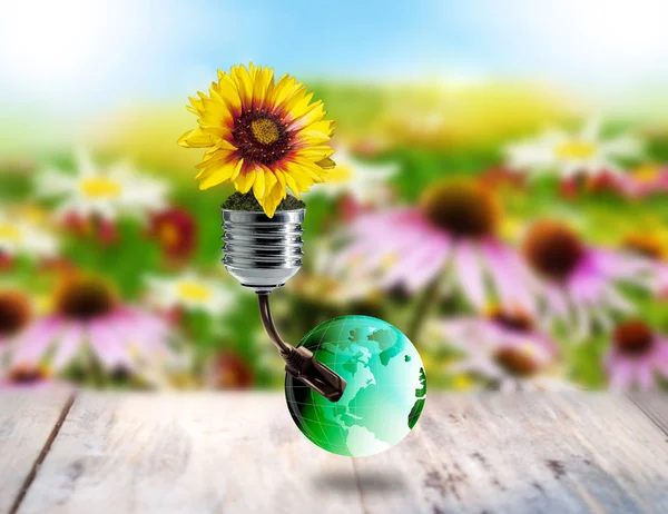 Grüne Saubere Energie Sommergarten — Stockfoto