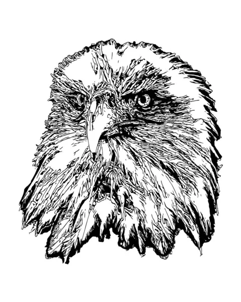 Ilustracja wektora głowy orła — Wektor stockowy