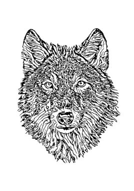 Kurt başı vektör illüstrasyonu