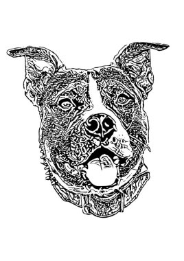 Amerikan Staffordshire terrier vektör İllüstrasyon