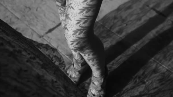 Κοντινό Πλάνο Γυναικεία Πόδια Δαντέλα Κουρτίνας Μοτίβο Σκιά Και Φως — Αρχείο Βίντεο