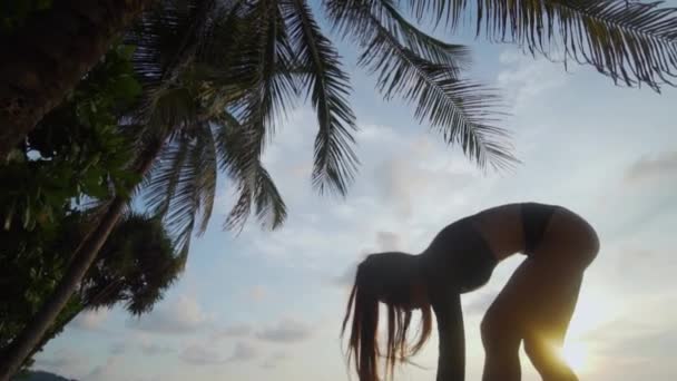 Hermosa Mujer Bailando Playa Vista Inferior Hermosa Mujer Traje Baño — Vídeo de stock