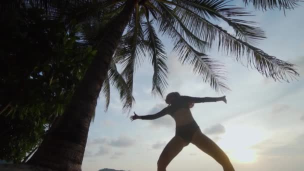ビーチで踊る美人 ヤシの木と空背景 スローモーションのビデオの上に日没時に砂浜で踊る黒い水着で美しい女性観を底 — ストック動画