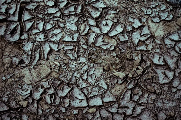 Superfície Solo Sem Costura Textura Solo Com Rachaduras — Fotografia de Stock