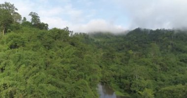 Nehir/güzel doğal manzara arka planda dağlar ile Asya tropik yeşil ormandaki nehir ile havadan görünümü tropikal yeşil orman havadan görünümü robot shot - slow motion video