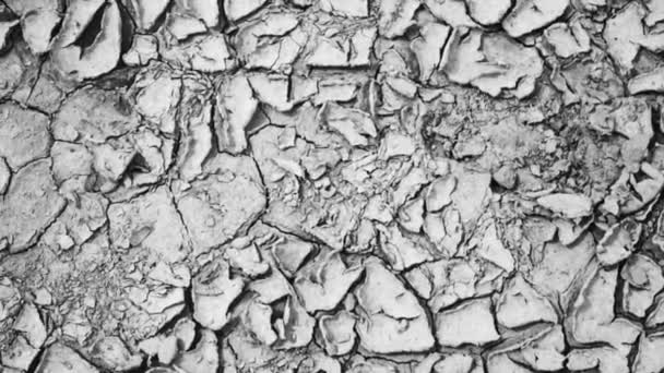 Seamless Soil Surface Seamless Soil Surface Texture Ground Cracks Video — Stock Video