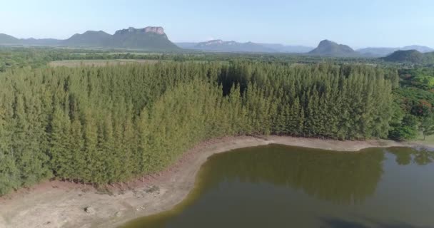 Luftaufnahme Des Tropischen Grünen Waldes Mit Fluss Schöne Naturkulisse Des — Stockvideo