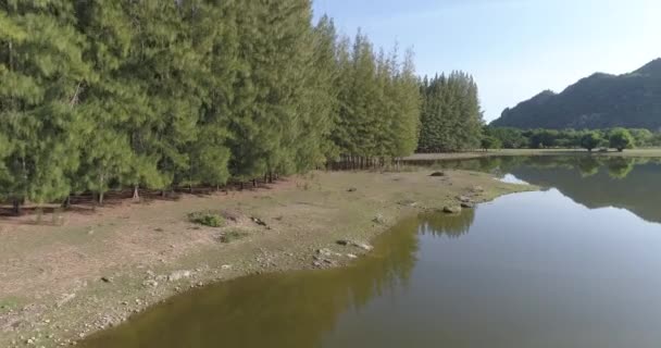 Vue aérienne de la forêt tropicale verte avec rivière / Beau paysage naturel de rivière en Asie forêt tropicale verte avec des montagnes en arrière-plan, vue aérienne plan de drone - vidéo au ralenti 