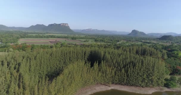 Luchtfoto Van Tropisch Groen Bos Met Natuurlijke Omgeving Van Rivier — Stockvideo