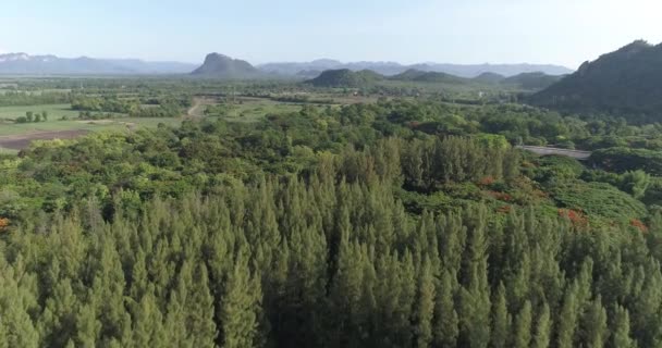 Vista Aérea Campos Verdes Tailândia Vista Aérea Drone Paisagem Campo — Vídeo de Stock