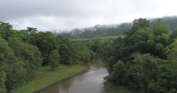 热带绿色森林的空中风景与河或秀丽自然风景河在亚洲热带绿色森林与山在背景 空中观看无人机射击 录影在慢动作 — 图库视频影像