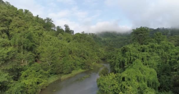 背景の山々 アジア熱帯緑の森の川の川 美しい自然の風景と熱帯の緑の森の空中写真は 空撮のドローン ショット スローモーションのビデオ — ストック動画