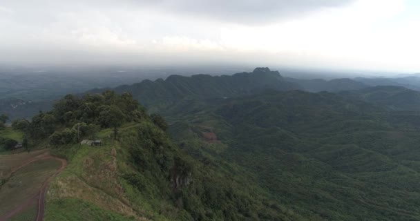 Luchtfoto Van Groene Velden Thailand Antenne Drone Weergave Van Landschap — Stockvideo