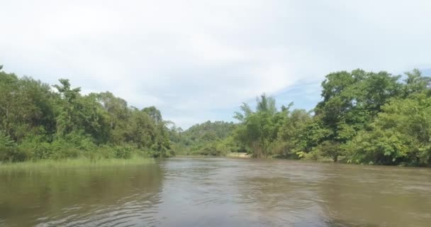 Вид Човна Тропічної Зелені Ліси Річки Вид Човна Гарним Природним — стокове відео