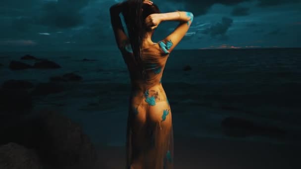 Mysterious Beauty Beach Sunset Back View Beautiful Mysterious Woman Long — Stock Video