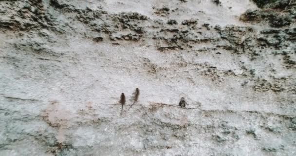 조감도 석회암 절벽에 원숭이의 인도네시아에 석회암 절벽에 원숭이 비행기 — 비디오
