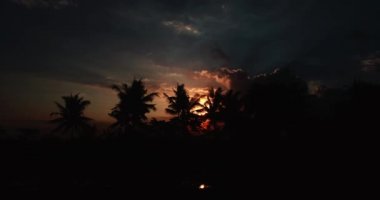 Havadan görünümü ile şaşırtıcı bulutlu günbatımı siluetleri palmiye ağaçları / hava ile hava Bali, Endonezya tropikal palmiye ağaçlarının silüetler ile şaşırtıcı bulutlu gün batımı ile görmek