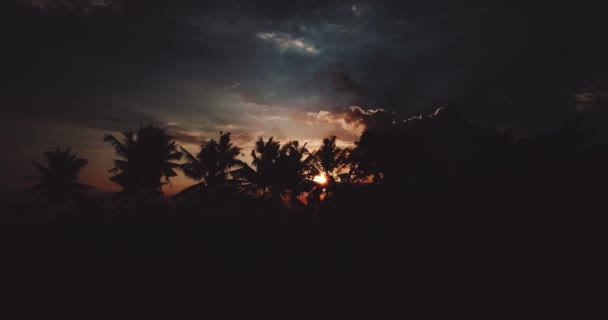 Luftaufnahme Von Erstaunlichen Bewölkten Sonnenuntergang Mit Silhouetten Von Palmen Luftaufnahme — Stockvideo