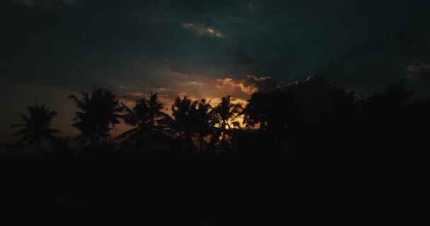 鸟瞰的惊人多云日落与棕榈树的剪影 空中无人机的壮观多云日落与热带棕榈树的剪影 在印尼巴厘岛的鸟瞰图 — 图库视频影像